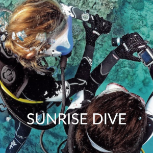 Sunrise Dive Bequia